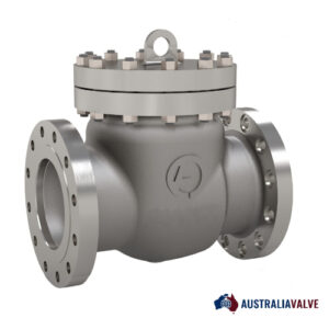 Cryogenic Check Valve Supplier in Australia