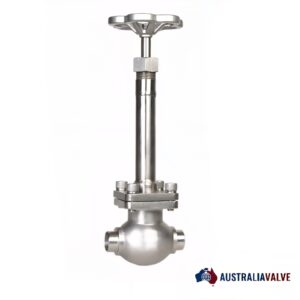 Cryogenic Globe Valve Supplier in Australia