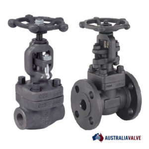 CS Gate Valve | Threaded, Flanged