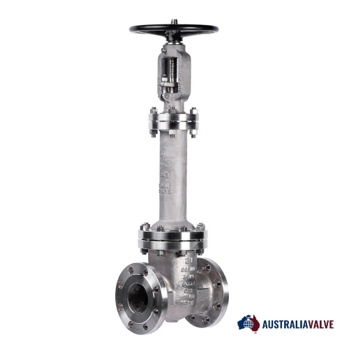 Cryogenic Gate Valve in Australia Valve