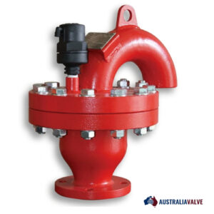 Slurry Air Release Valve in Australia