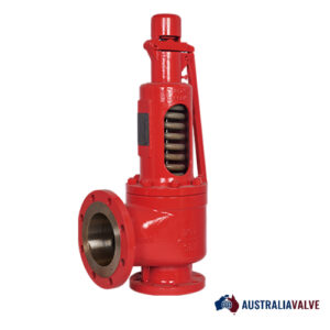 Spring Loaded Safety Valve Supplier