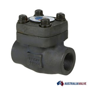 Carbon Steel Check Valve (A105/WCB) IN AUSTRALIA