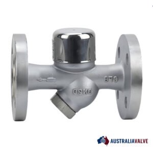 Disc Type Steam Trap