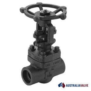 Carbon Steel Globe Valve (A105/WCB) IN AUSTRALIA