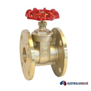 Nickel Aluminum Bronze Gate Valve