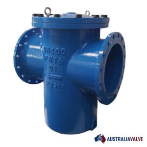 T STRAINERS IN AUSTRALIA