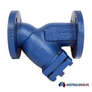 Y Type Strainer