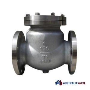 Titanium Check Valves in Australia