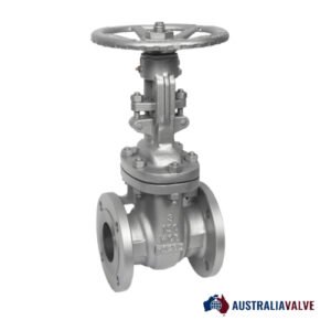 Titanium Gate Valves